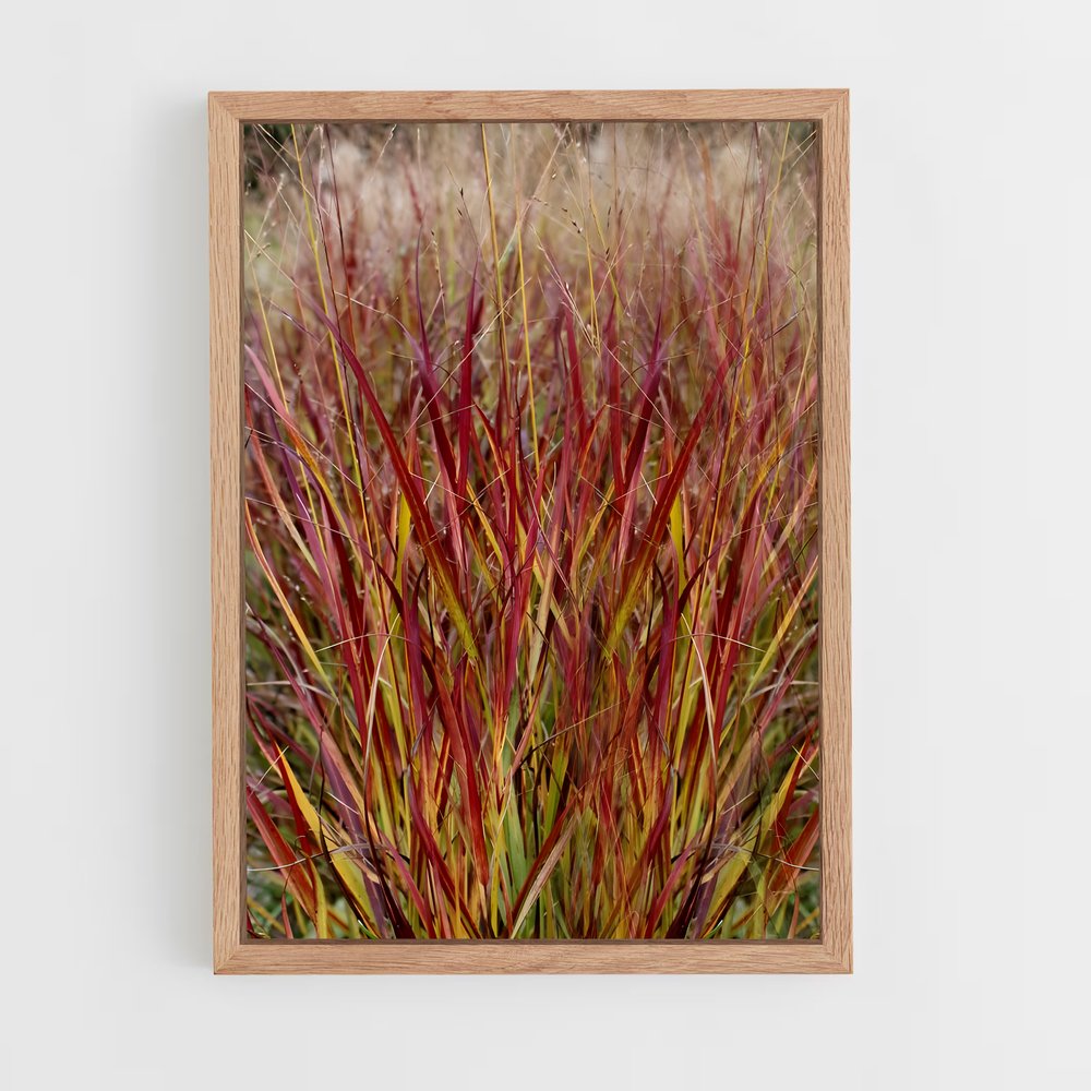 ap-switchgrass-3 cadre Bois clair