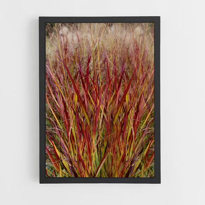 ap-switchgrass-3 cadre Noir