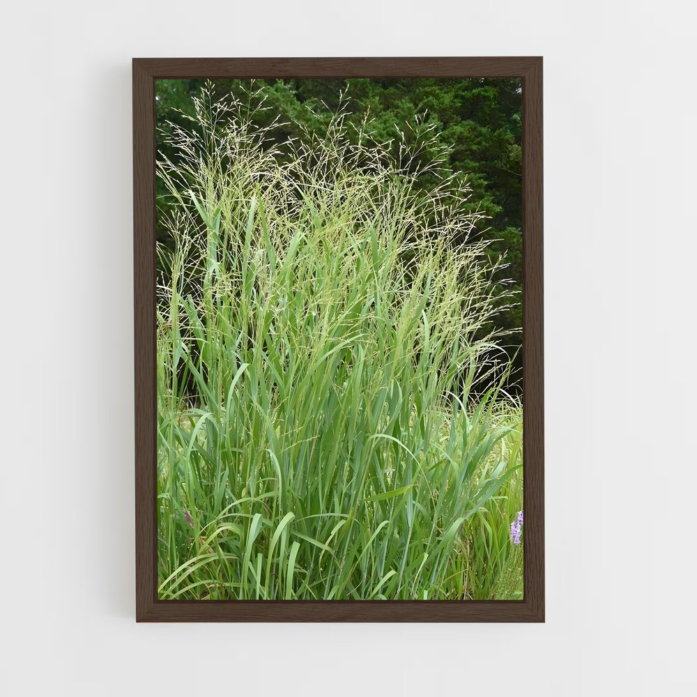 ap-switchgrass-4 cadre Bois foncé