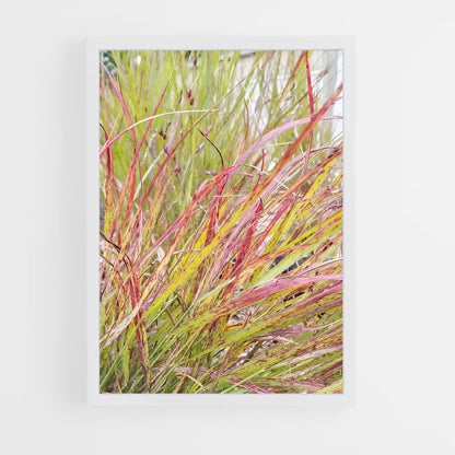 ap-switchgrass-5 cadre Blanc