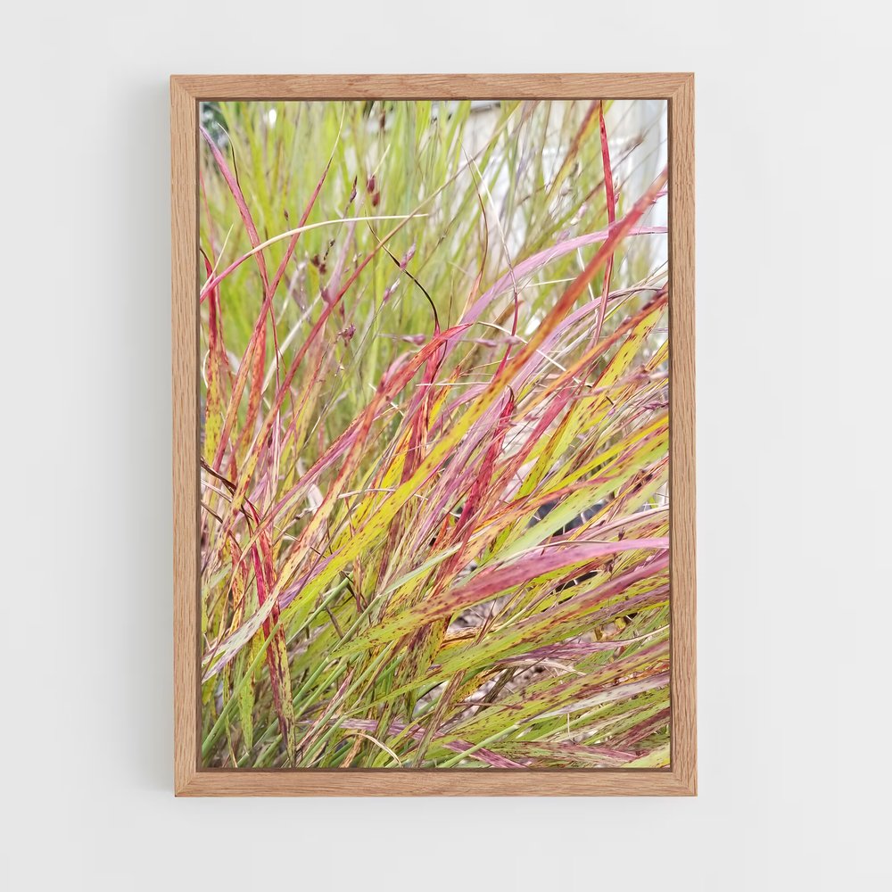 ap-switchgrass-5 cadre Bois clair