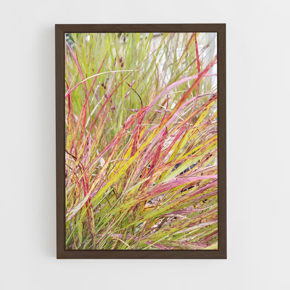 ap-switchgrass-5 cadre Bois foncé
