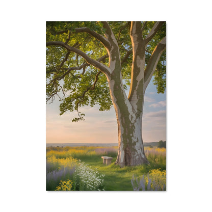 Poster Le Sycomore Enchanté