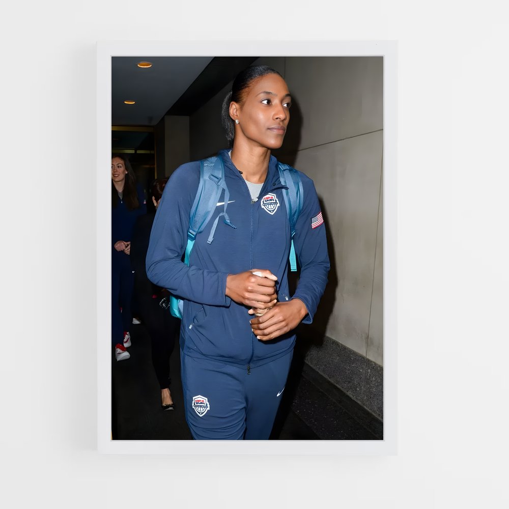 ap-sylvia fowles-1 cadre Blanc