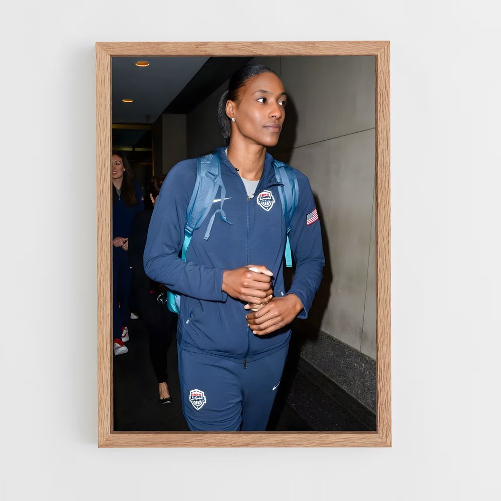 ap-sylvia fowles-1 cadre Bois clair