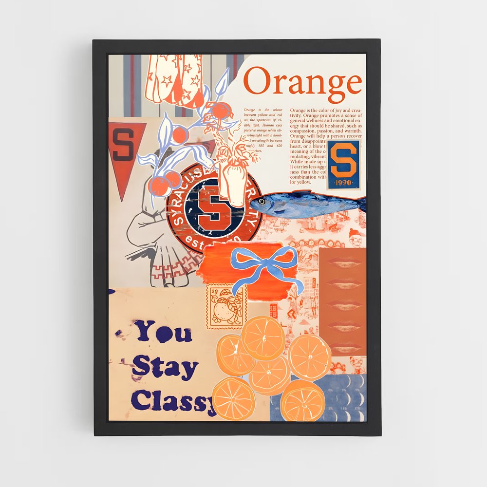 ap-syracuse orange-3 cadre Noir