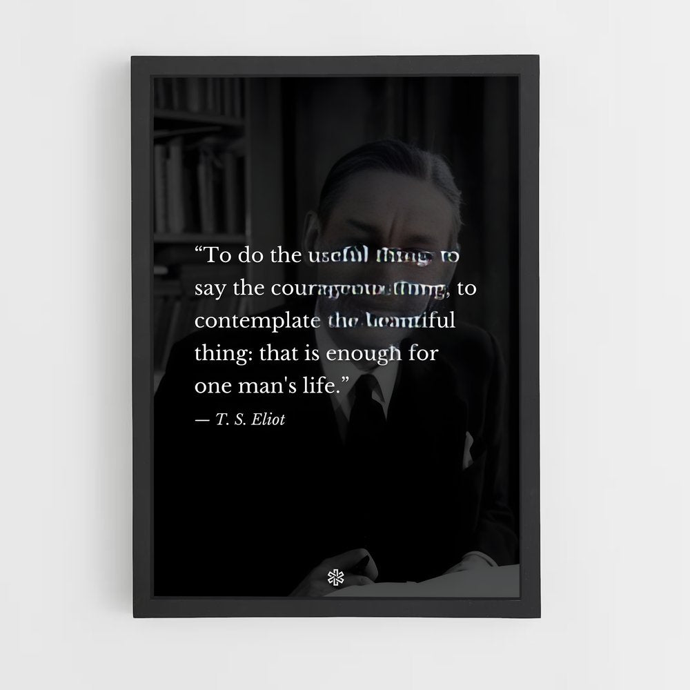 ap-t s eliot-5 cadre Noir