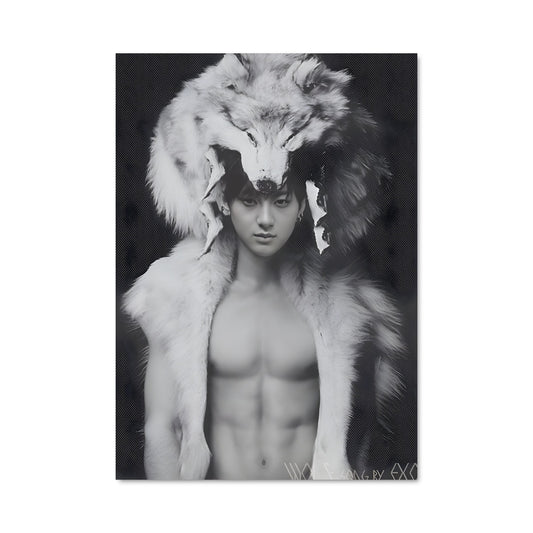 Poster Le Lion Sage