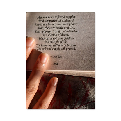 Poster Taoism 17038