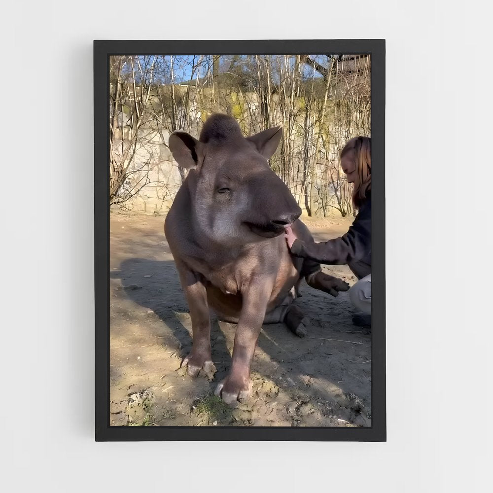 ap-tapir-2 cadre Noir
