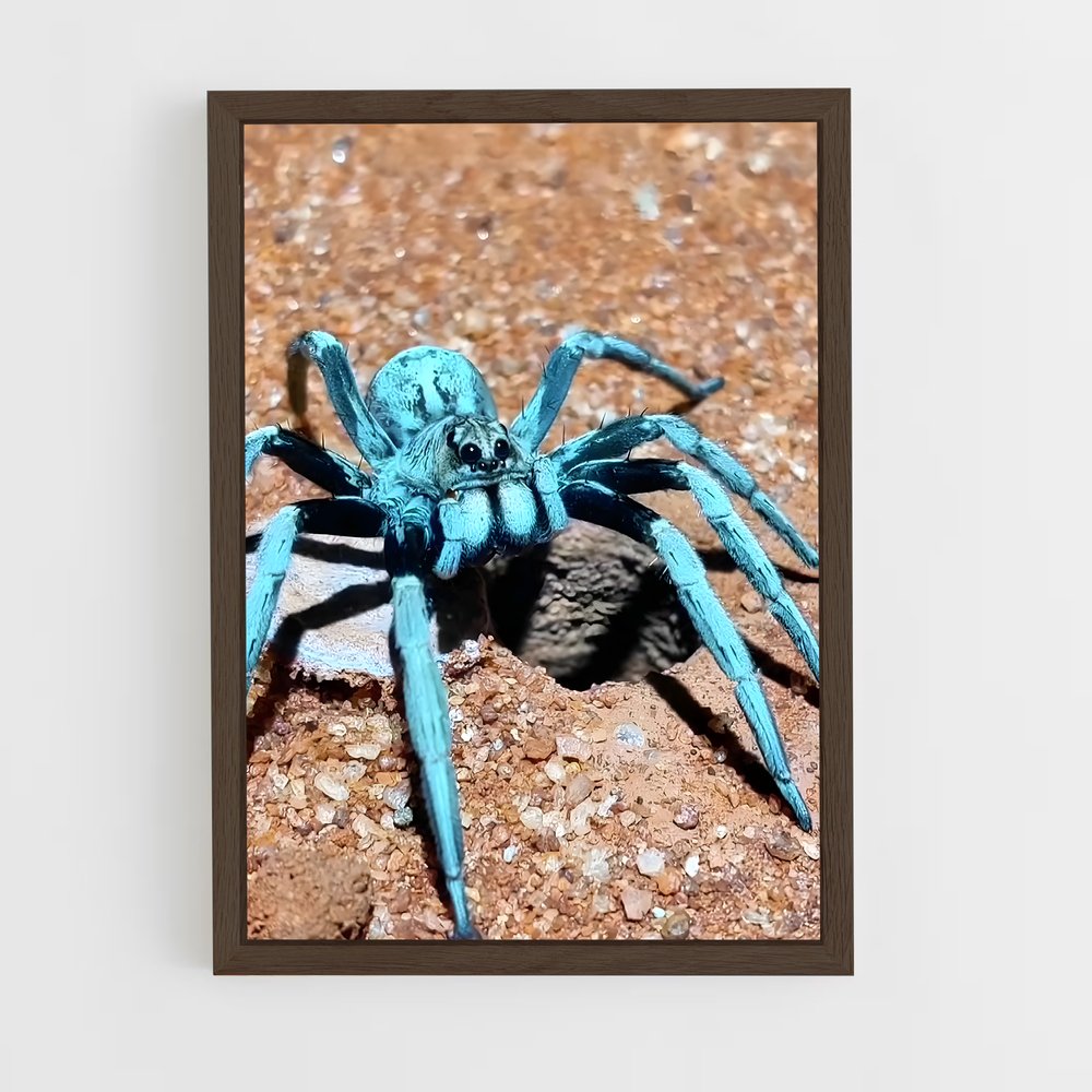 ap-tarantula-3 cadre Bois foncé