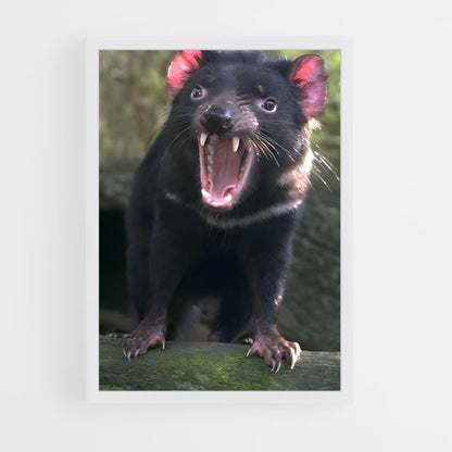 ap-tasmanian devil-1 cadre Blanc