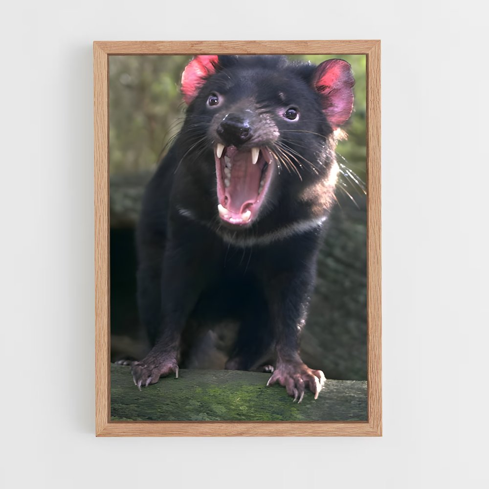 ap-tasmanian devil-1 cadre Bois clair