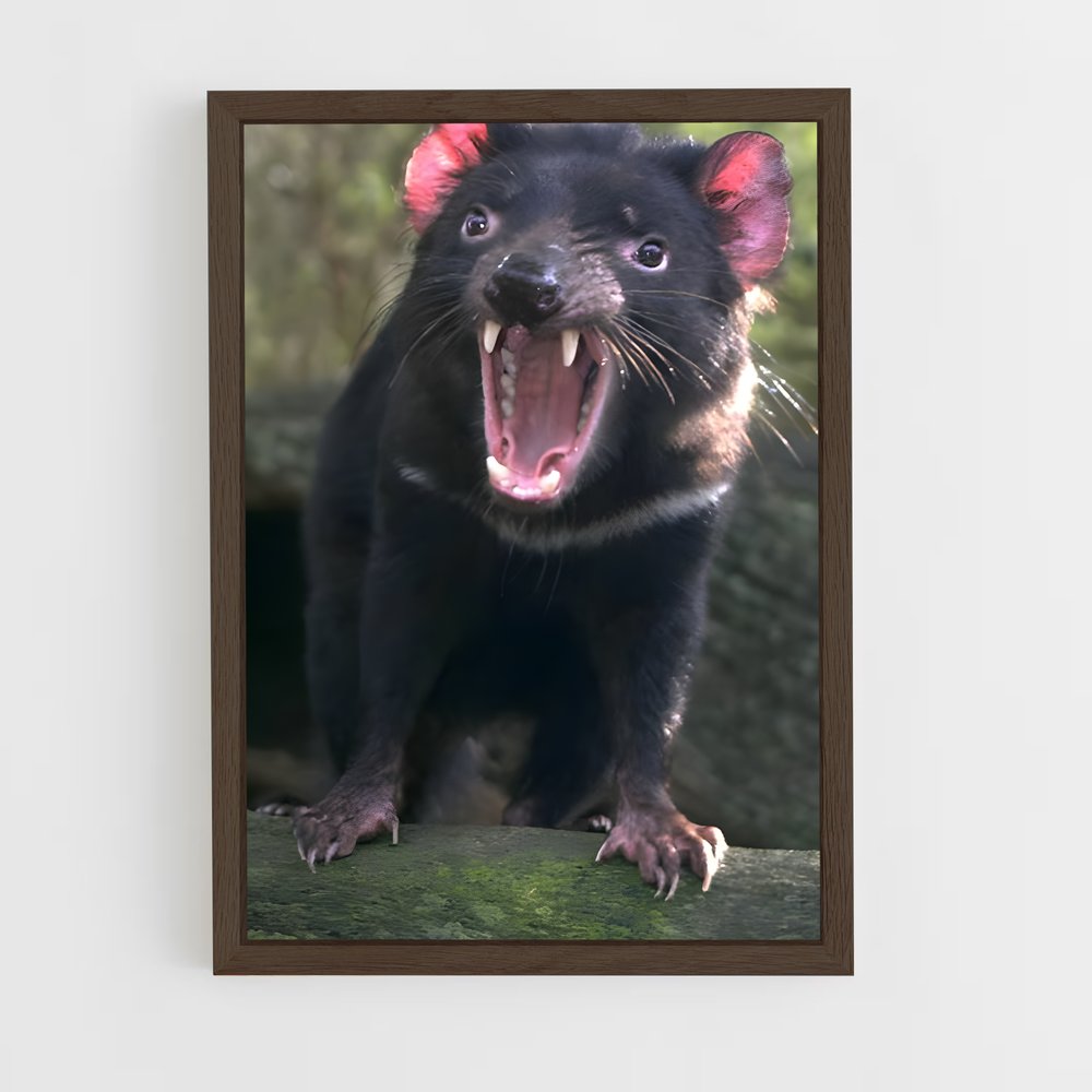 ap-tasmanian devil-1 cadre Bois foncé