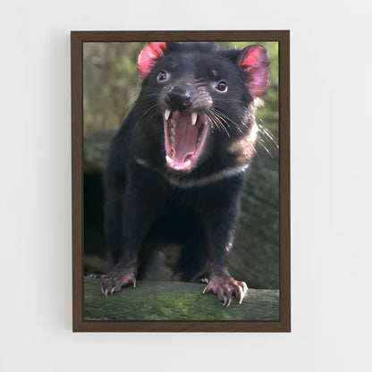 ap-tasmanian devil-1 cadre Bois foncé