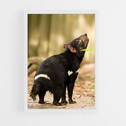 ap-tasmanian devil-4 cadre Blanc