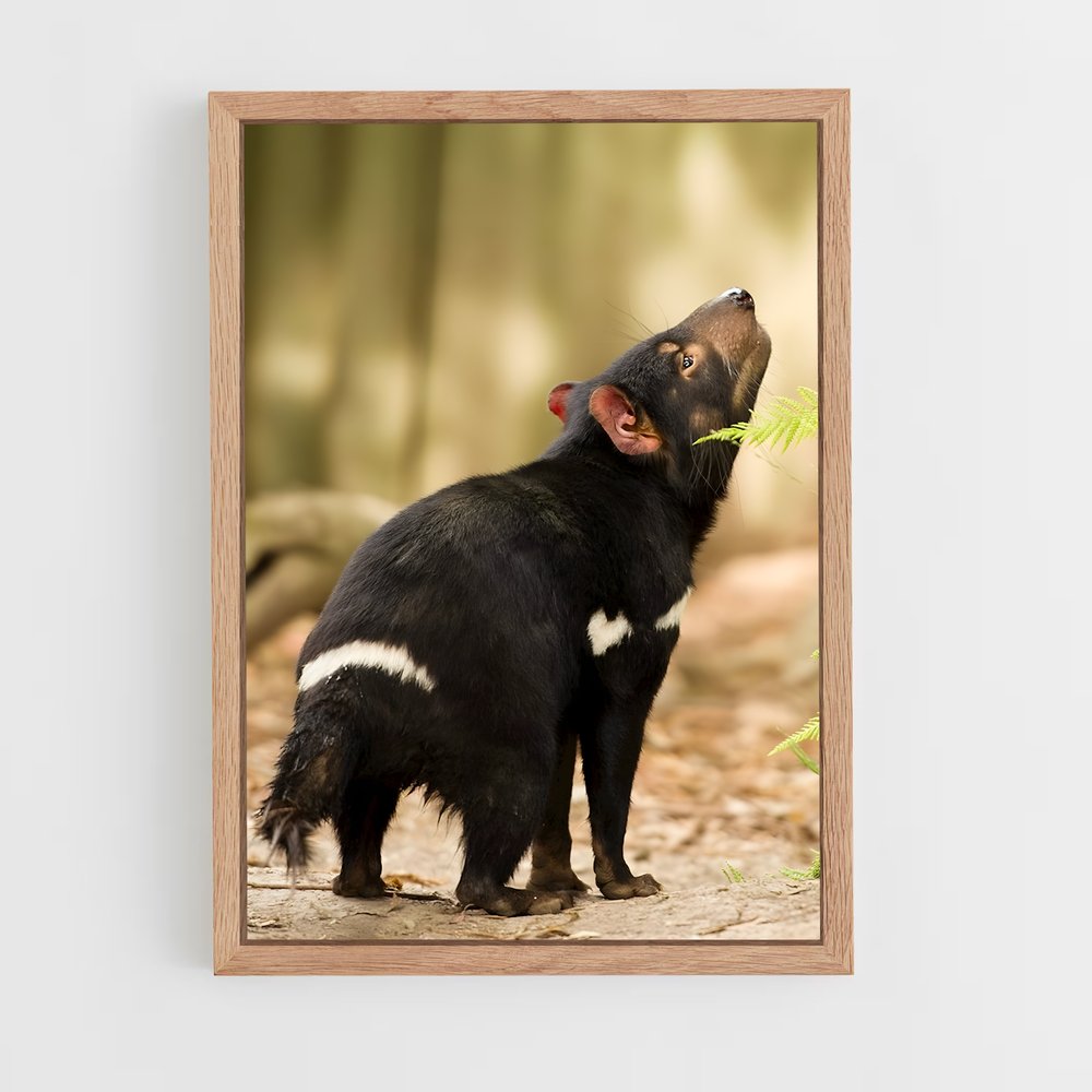 ap-tasmanian devil-4 cadre Bois clair