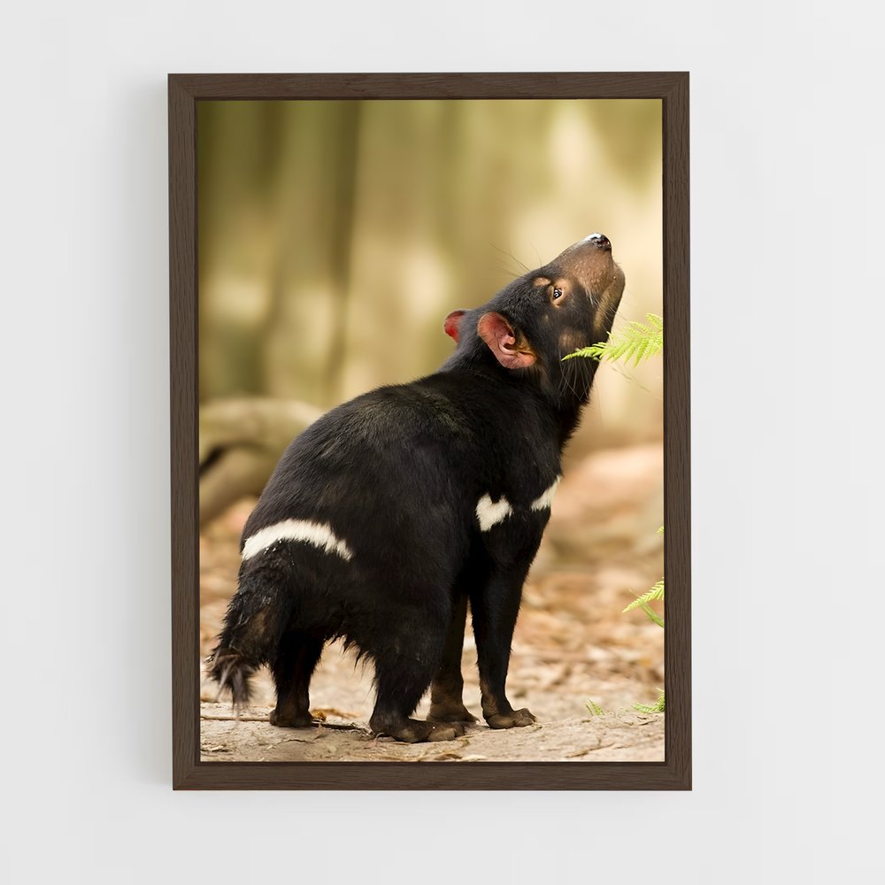 ap-tasmanian devil-4 cadre Bois foncé