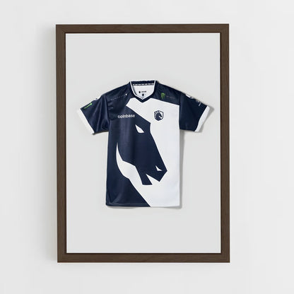 ap-team liquid-3 cadre Bois foncé