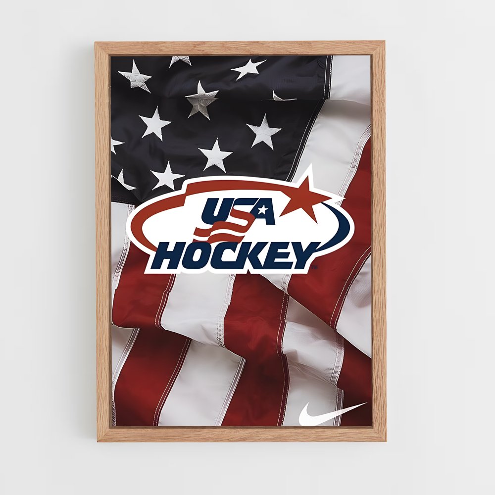 ap-team usa hockey-1 cadre Bois clair