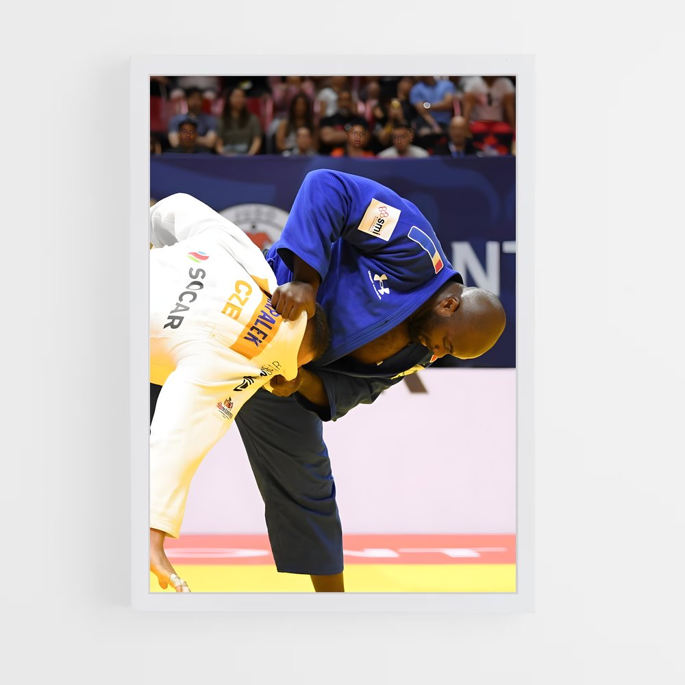 ap-teddy riner-2 cadre Blanc