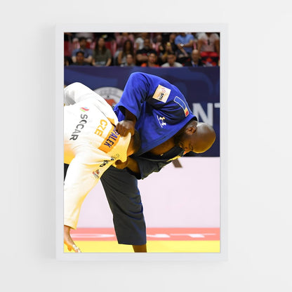 ap-teddy riner-2 cadre Blanc