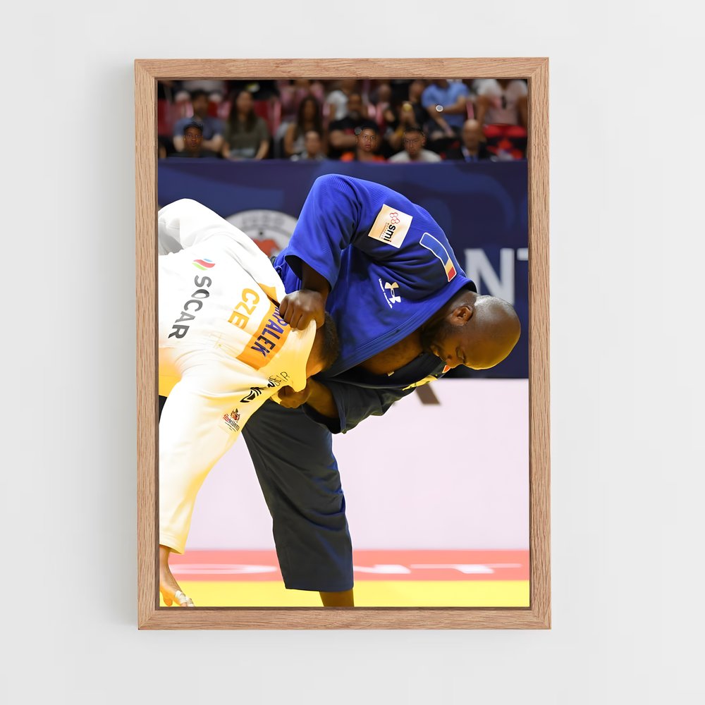 ap-teddy riner-2 cadre Bois clair