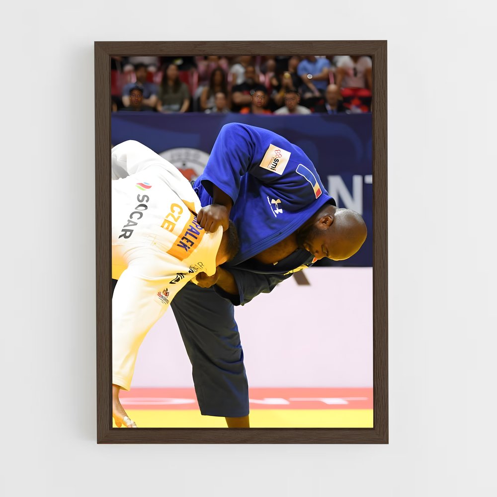 ap-teddy riner-2 cadre Bois foncé
