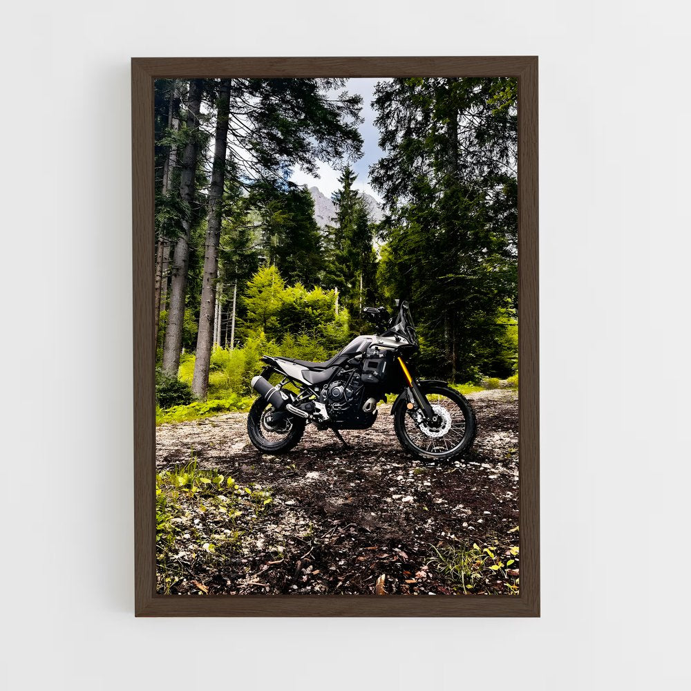 ap-tenere 700-4 cadre Bois foncé