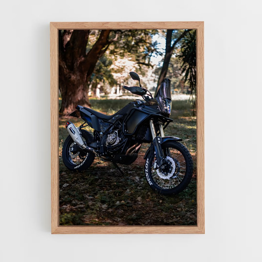 ap-tenere 700-5 cadre Bois clair