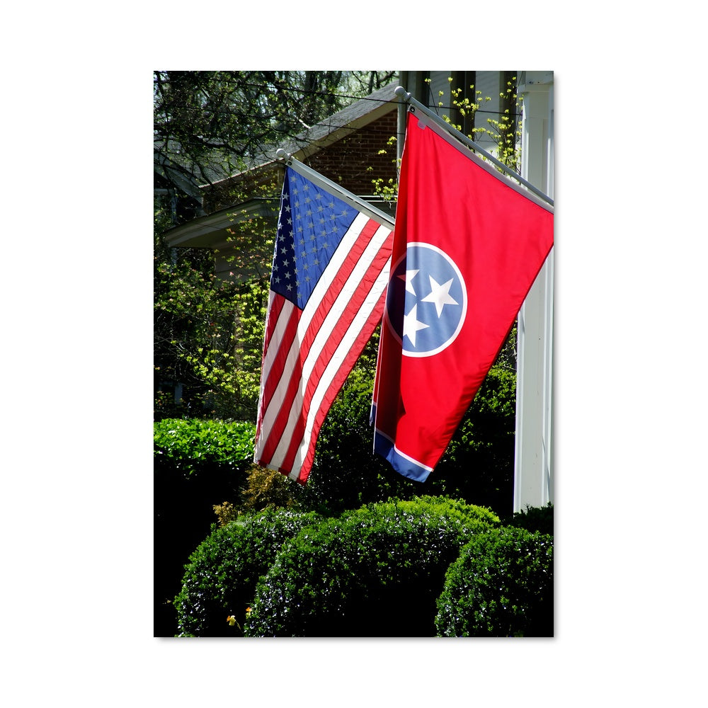 Poster Dualité Tennesseenne