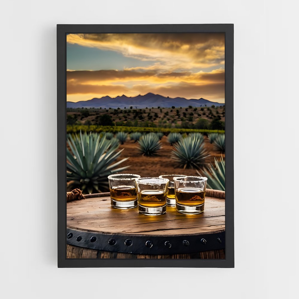 ap-tequila-2 cadre Noir