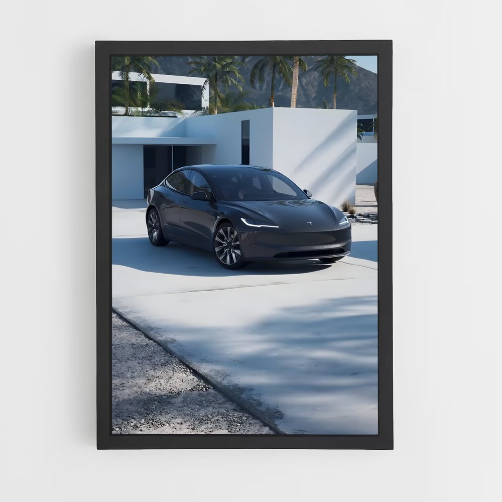 ap-tesla-5 cadre Noir