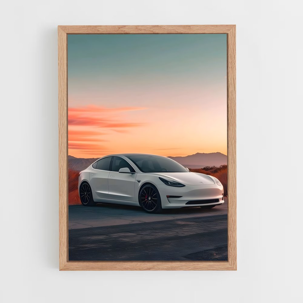 ap-tesla-6 cadre Bois clair