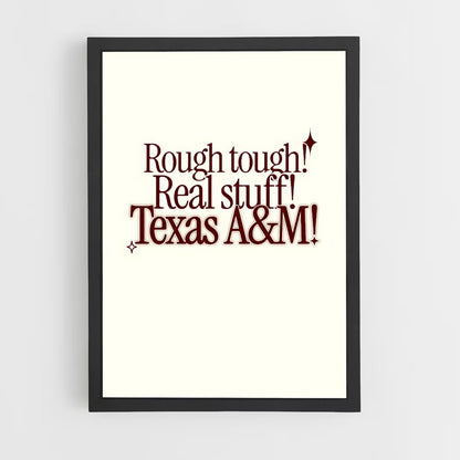 ap-texas aandm aggies-9 cadre Noir