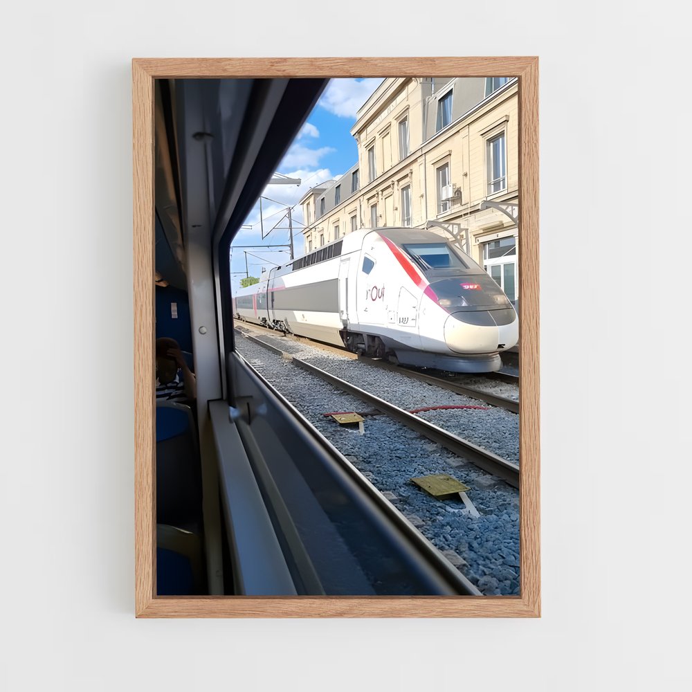 ap-tgv france-1 cadre Bois clair