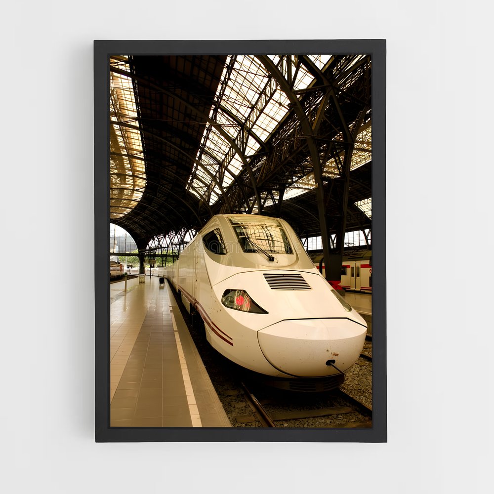 ap-tgv france-2 cadre Noir