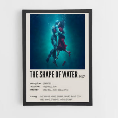 ap-the shape of water-1 cadre Noir