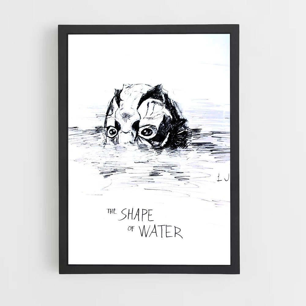 ap-the shape of water-3 cadre Noir
