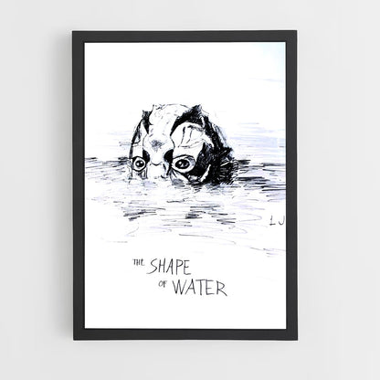 ap-the shape of water-3 cadre Noir