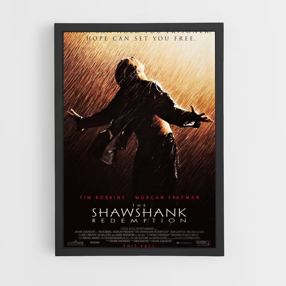 ap-the shawshank redemption-1 cadre Noir
