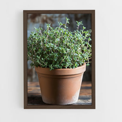ap-thyme-1 cadre Bois foncé