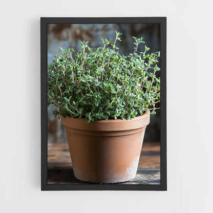 ap-thyme-1 cadre Noir
