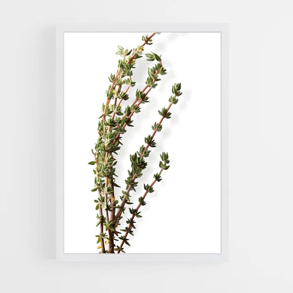 ap-thyme-4 cadre Blanc