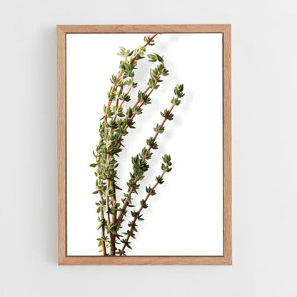 ap-thyme-4 cadre Bois clair