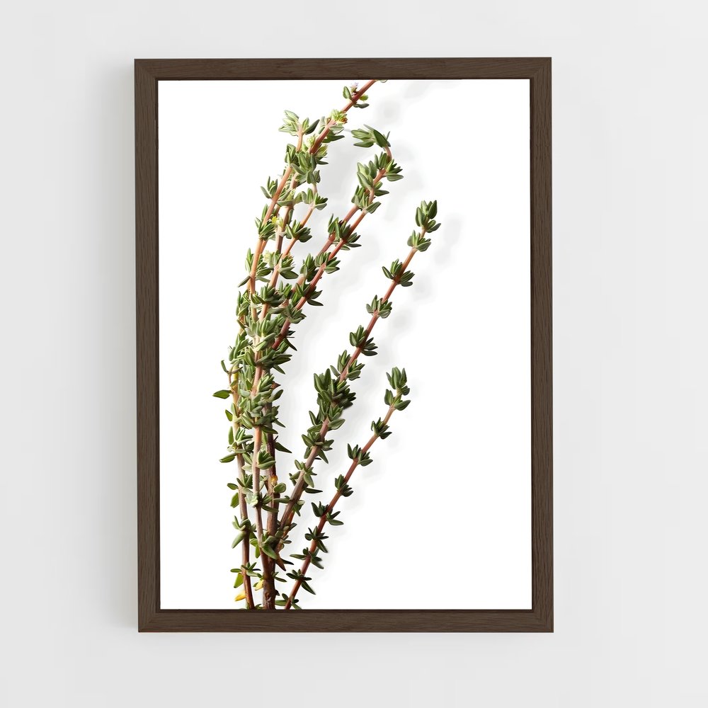 ap-thyme-4 cadre Bois foncé