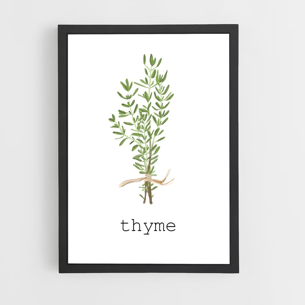 ap-thyme-5 cadre Noir