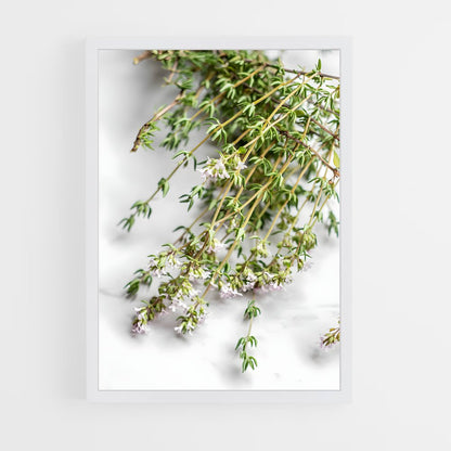 ap-thyme-6 cadre Blanc