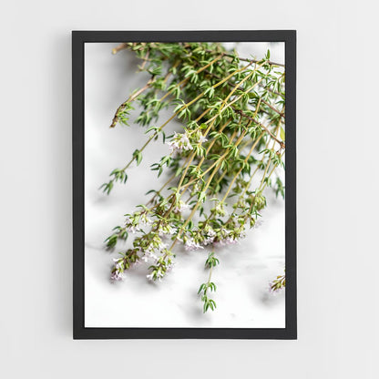 ap-thyme-6 cadre Noir