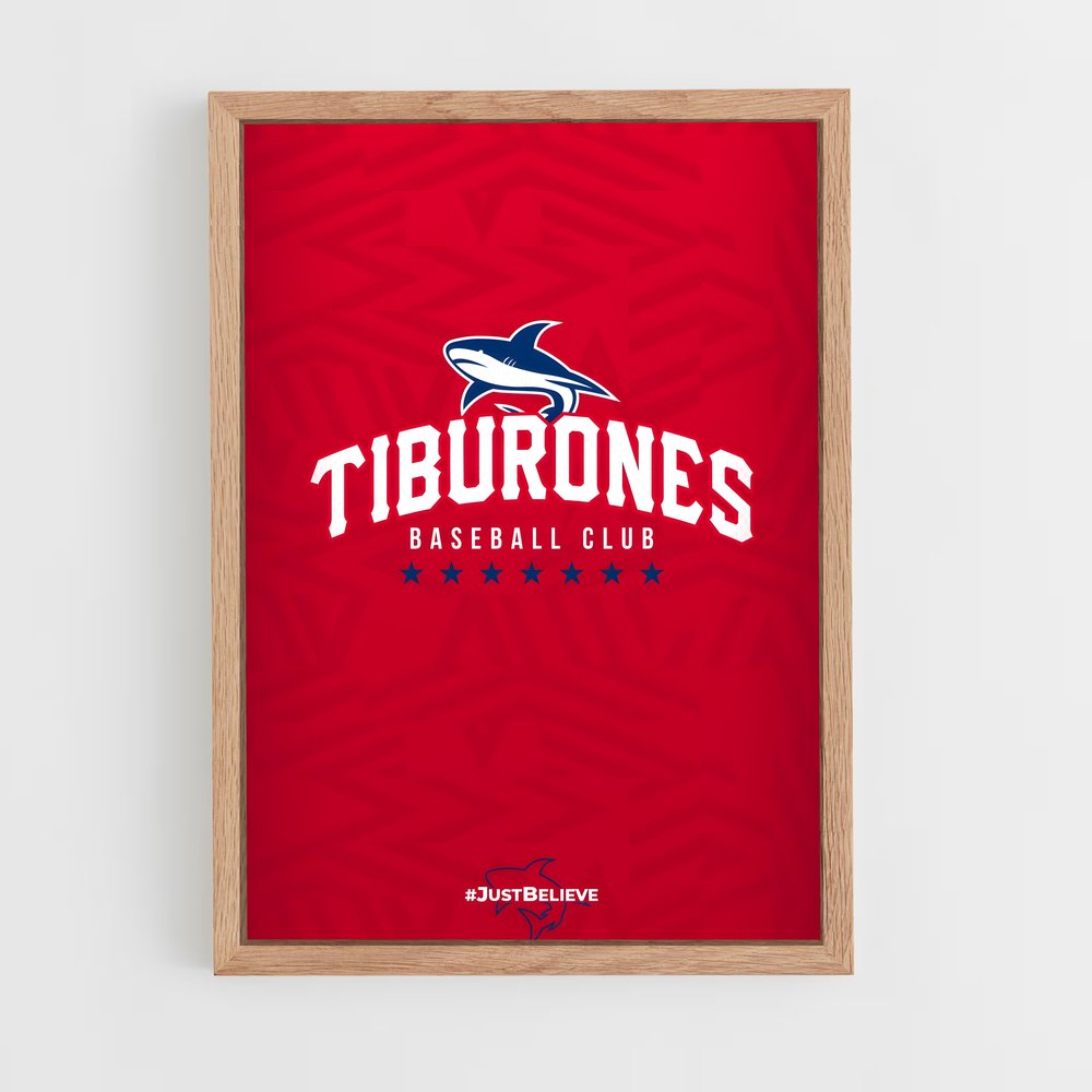 ap-tiburones de la guaira-2 cadre Bois clair